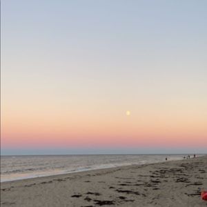 Meet your Posher, Bridget